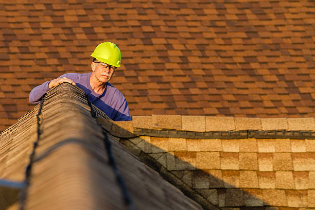 Roof Gutter Cleaning in Greenbrier, TN